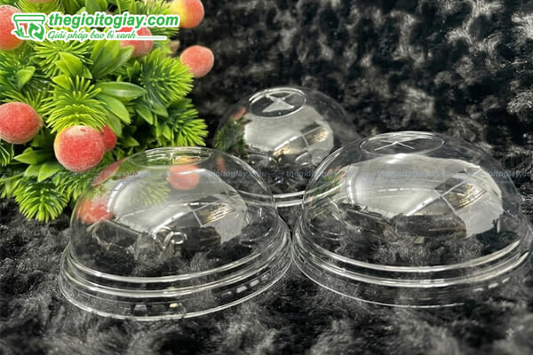 Nắp cầu trong suốt