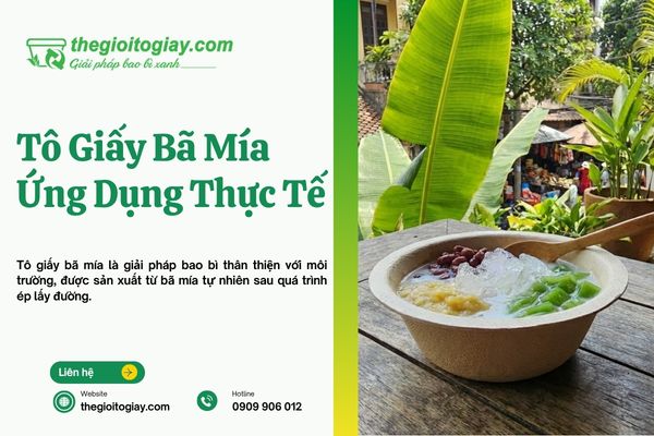 Thumnail tô giấy bã mía